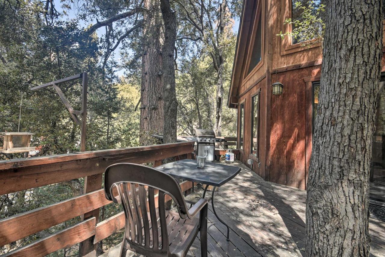 Updated Tree House Pine Mtn Club Cabin By Trails Pine Mountain Club Exterior photo