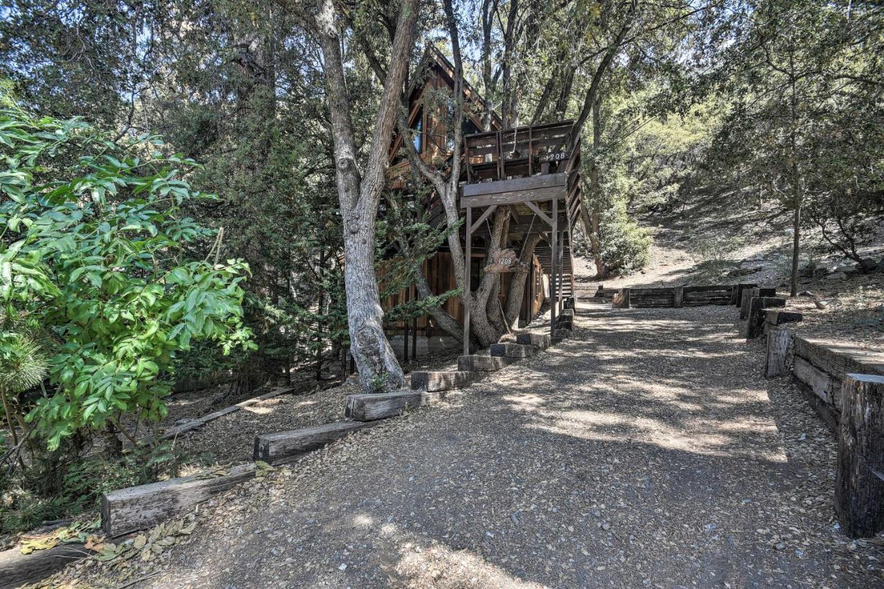 Updated Tree House Pine Mtn Club Cabin By Trails Pine Mountain Club Exterior photo